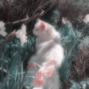 ✿𝙴𝘤𝘴𝘵𝘢𝘴𝘺✿