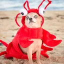 fren cave