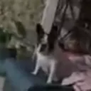 Lol