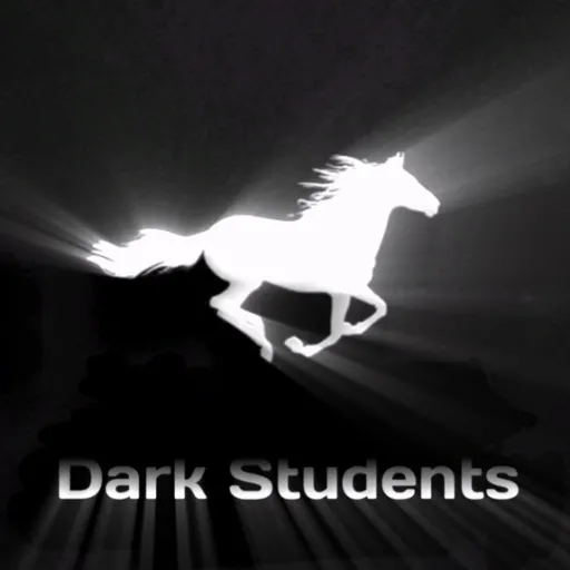 Dark Students — мониторинг Discord сервера, статистика и рейтинг