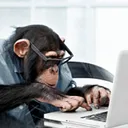 Coding & Crossovers