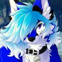 🦊Le0-Wolf's Community🐺