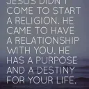 LOST SHEEP MINISTRIES