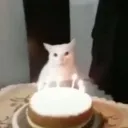 The Experiment
