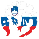 Slovenski Paradox Server