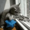 SniperKittenCZ Discord Server Icon