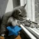 SniperKittenCZ