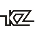 kz earphones