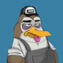 Arabian Penguins