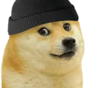 Le chenil