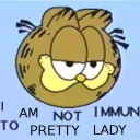 pringle cant's server