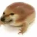 Cult of Drog