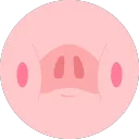 Solow 🐽