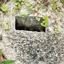 CrizzVerse Discord server icon