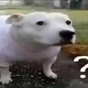 Meme Centre    Discord Server Icon