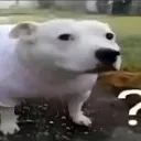 Meme Centre  Discord Server Icon