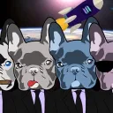 Solana Frenchies 🐶🚀