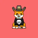 PixelShibs' server