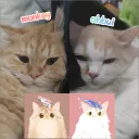 廢區