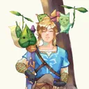 ★━Bienvenue à Hyrule !━★