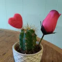 A2 Craft Gatherings