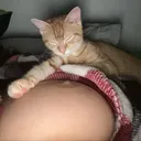 Nutcord