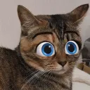 とらねこChannel