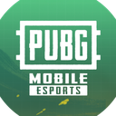 Discovery icon for PUBG MOBILE ESPORTS Discord server
