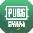 PUBG MOBILE ESPORTS