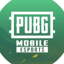 Discovery icon for PUBG MOBILE ESPORTS Discord server