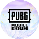 Discovery icon for PUBG MOBILE ESPORTS Discord server