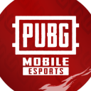 Discovery icon for PUBG MOBILE ESPORTS Discord server
