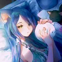 某貓的神奇異空間