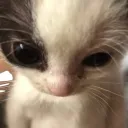 ˚₊‧۶۟ৎა 𝒽𝑜𝓁𝓁𝑜𝓌 ໒۶۟ৎ ‧₊˚ Discord Server Icon