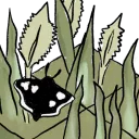 Moth Terra: A Building Game for Moths