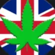 r/ukmedicalcannabis Discord server icon