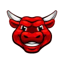 RAGING BULL CRYPTO