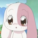 Baby Bunny's Server
