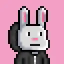 Bunny Warriors