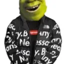 Shrek's Swamp