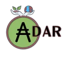 ADAR - Cardano Stakepool