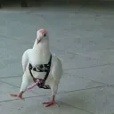 https://discord.gg/DW5ezay3WR