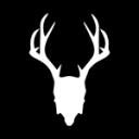 Mad Rabbit Discord Server Icon
