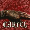 一 CARTEL GNG 一  #CRTL