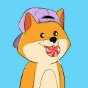 Shibas Lil Cousin