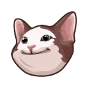 Finos felinos