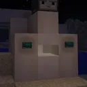 Survival Minecraft Pogs