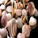 goyim central command Discord Server Icon