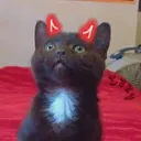 Doreamon / Dorabot support server