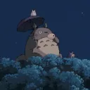 𝙏𝙤𝙩𝙤𝙧𝙤'𝙨  𝙏𝙧𝙚𝙚